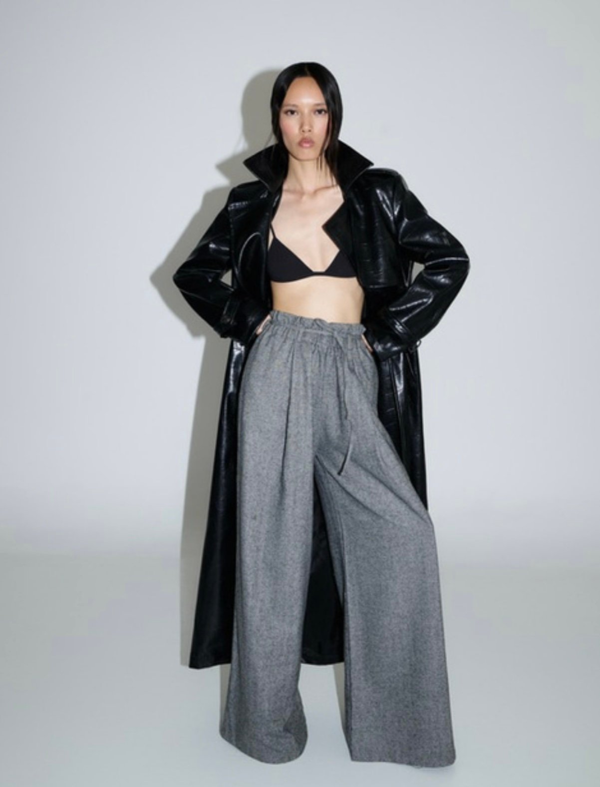 Screenshot Grey wool pant - Image 1
