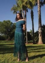 Cayro | Aila petrol dress